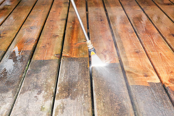 Best Driveway Pressure Washing  in Eustis, FL